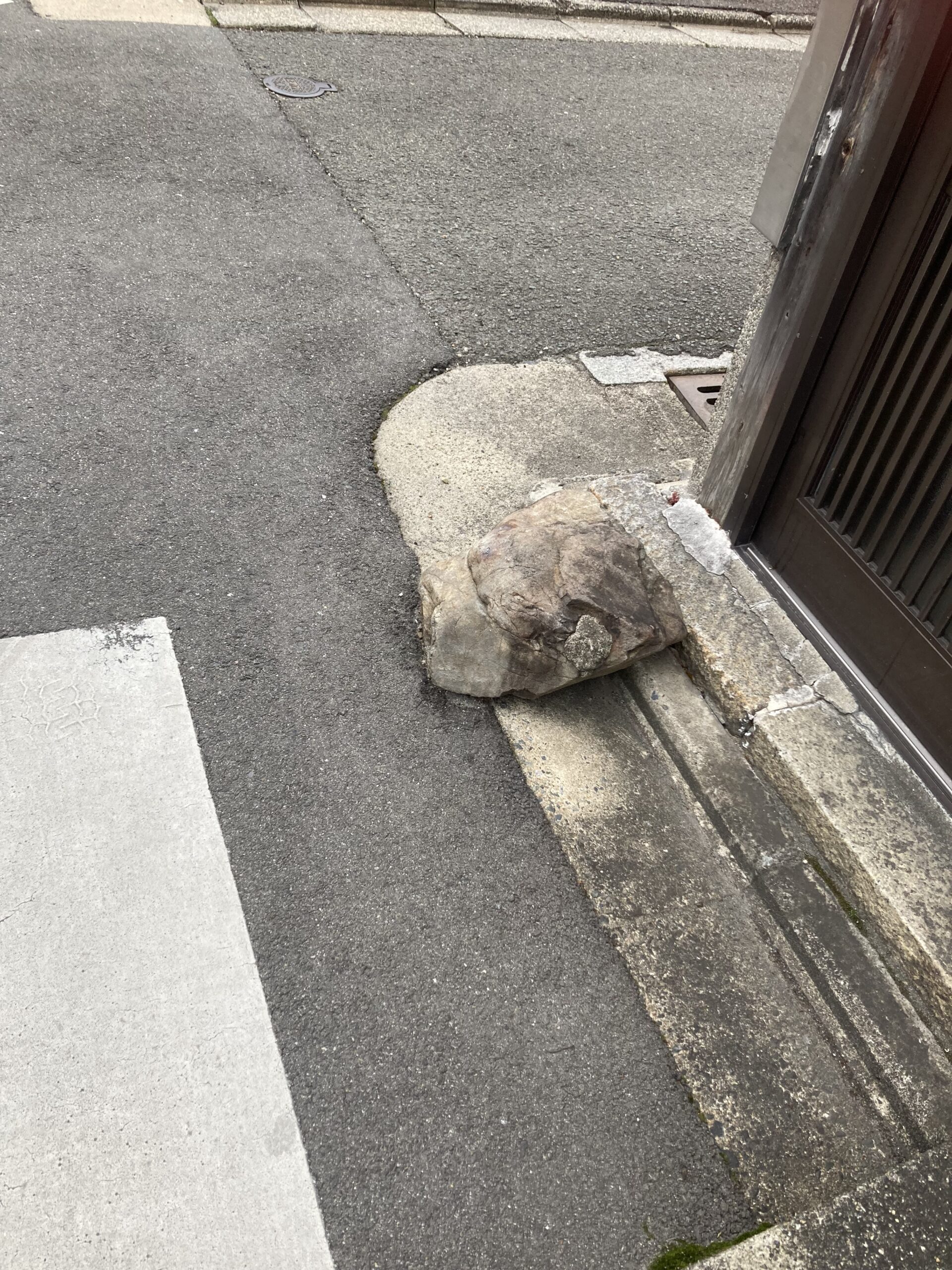 当時のメディア報道・掲載写真